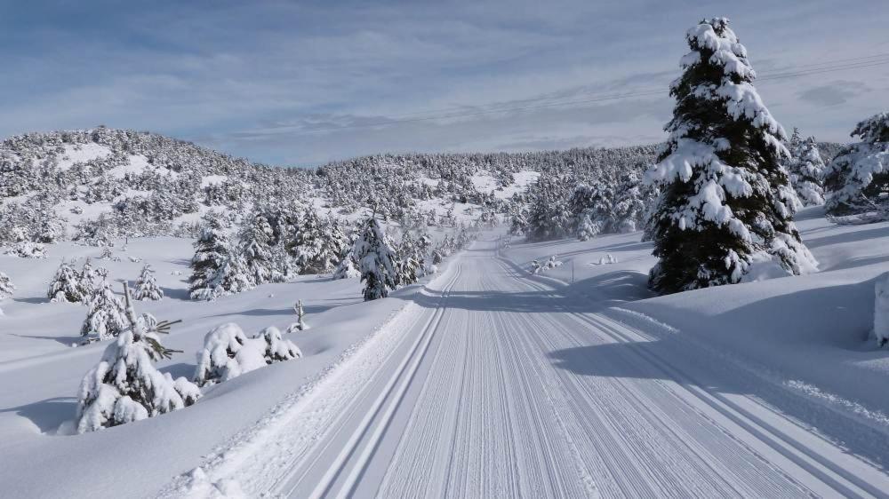 Ferienwohnung Greolieres Les Neiges Exterior foto